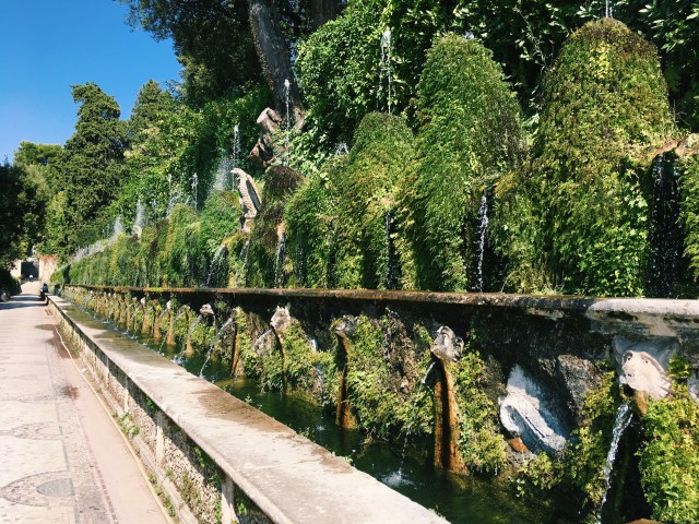 Processed with VSCO with c1 preset