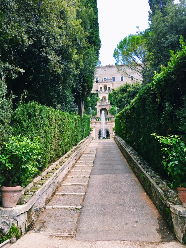 Processed with VSCO with c1 preset