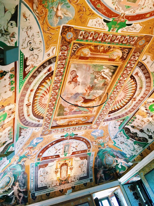 Processed with VSCO with c1 preset