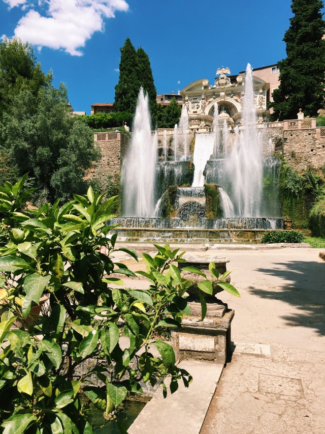 Processed with VSCO with c1 preset