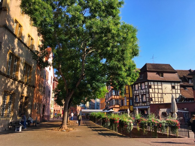 Processed with VSCO with g3 preset