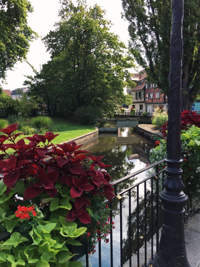 Processed with VSCO with g3 preset